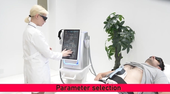 Salon sắc đẹp EMS Máy giảm cân loại máy tính để bàn Để giảm cân / làm cứng da