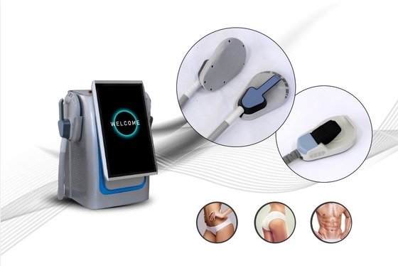 Máy giảm cân EMS chuyên nghiệp 2000W Cho loại máy tính để bàn giảm cân