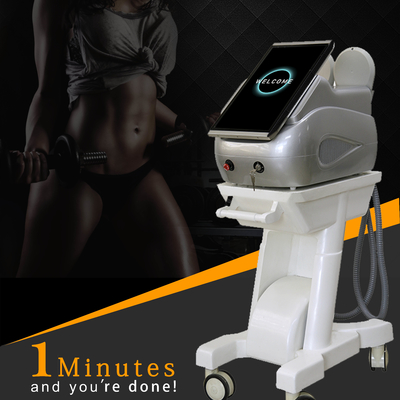 300us EMS máy giảm cân đứng loại cường độ cao tập trung EMS máy điêu khắc cơ thể