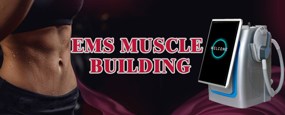 300us EMS máy giảm cân đứng loại cường độ cao tập trung EMS máy điêu khắc cơ thể